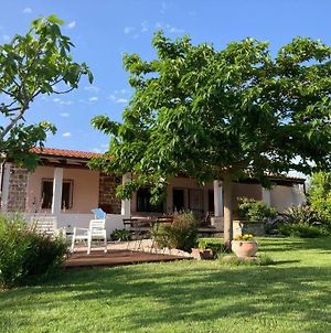 Countryside villa in Sardinia Triei Exterior photo