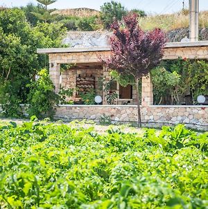 Emilia'S Little Farmhouses Villa Triovasálos Exterior photo