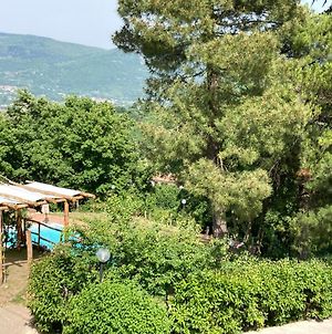 Villa Gioia relax immersi nel verde Aiello del Sabato Exterior photo