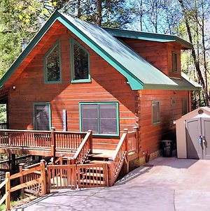 Luxury Cabin With Waterview And Privacy, Hiking Villa Blue Ridge Exterior photo