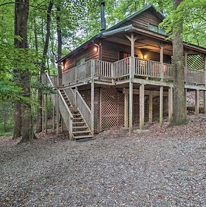 Tranquil Nw Georgia Cabin With Private Hot Tub Villa Sautee Nacoochee Exterior photo