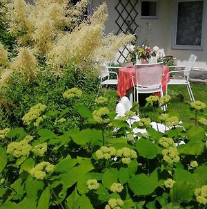 Secret Garden House In The Center Of Sigulda Villa Exterior photo