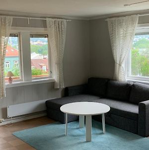 3 Room Apartment Incl Balcony, Wifi, Tv, Garden- And Parking Access Trondheim Exterior photo