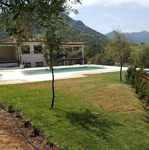 Villa con piscina tra le vigne del Cannonau Cardedu Exterior photo