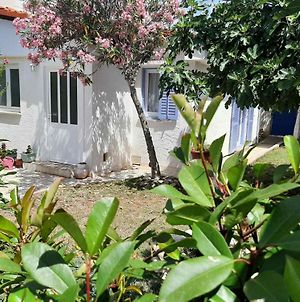 Vacation House Bimba - Pomer Villa Exterior photo