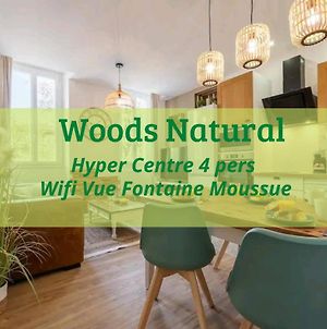 Woods Natural Hyper centre Fontaine Moussue Appartamento Salon-de-Provence Exterior photo