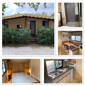 Mobile home Comfort Viareggio - Camping Paradiso- R028 Exterior photo
