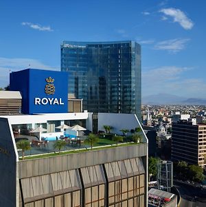 Hotel Royal Reforma Città del Messico Exterior photo
