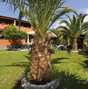 Villa Toula Dassia  Exterior photo