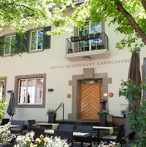 Hotel Landgasthof Riehen / Basilea Exterior photo
