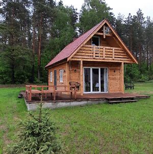 Samosiejka - Z Widokiem Na Jezioro Villa Lidzbark Welski Exterior photo