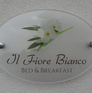 Il Fiore Bianco Bed and Breakfast Capo dʼOrlando Exterior photo