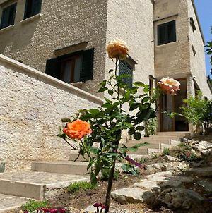 La Villa Del Senatore Gravina in Puglia Exterior photo