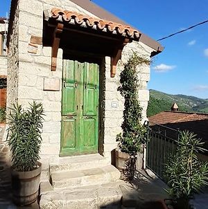 Il Gelsomino Bed and Breakfast Castelmezzano Exterior photo