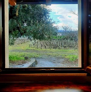 La finestra sul vigneto Villa Castiglione De Sicilia Exterior photo