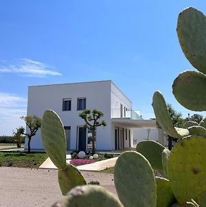 Verde Blu Vacanze Bed and Breakfast Torre Lapillo Exterior photo