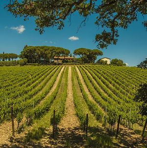 Fattoria di Magliano Winery Villa Magliano in Toscana Exterior photo