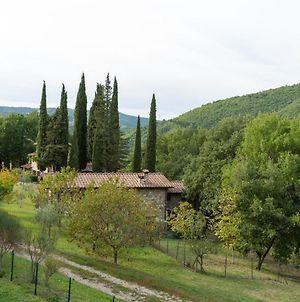 Casale Falco Grande Villa Chiusi della Verna Exterior photo