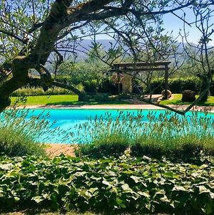 02 Pool Villa - Spoleto Tranquilla - A Sanctuary Of Dreams And Peace 02 Morro Exterior photo