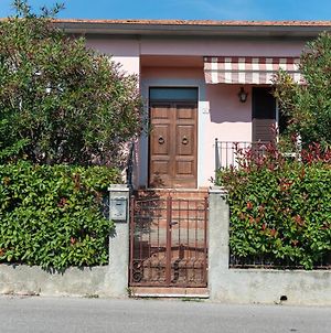 Casa Rosa Villa Foiano Della Chiana Exterior photo