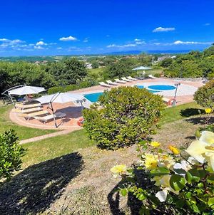 Exclusive villa in Montefiascone -Pool&Jacuzzi Exterior photo