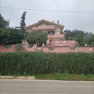 Villa smeralda Ripa Teatina Exterior photo