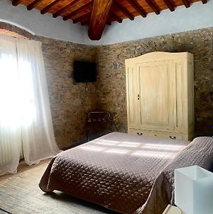 Room In Bb - Alessio Room Overlooking The Vineyards Of Tuscany Carmignano Exterior photo