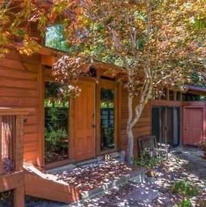 Monthly Only - Canyon Cottage In The Redwoods Near Downtown Santa Cruz Exterior photo
