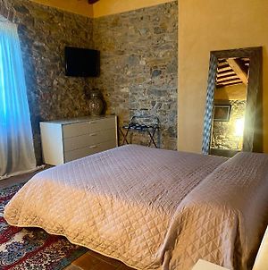 Room In Bb - Sottotono Agriturismo With Swimming Pool On Florence Surrounded By Greenery Carmignano Exterior photo