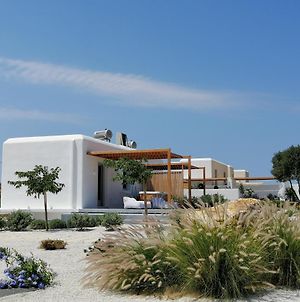 Xerolithos Natural Living Villa Naxos City Exterior photo