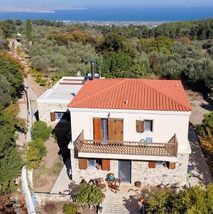 Chaihoutes stone villa into Olive farm in Zia Agios Dimitrios  Exterior photo