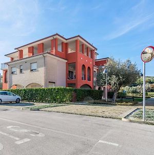 Awesome Apartment In Cologna Spiaggia With 2 Bedrooms And Wifi L'Annunziata Exterior photo