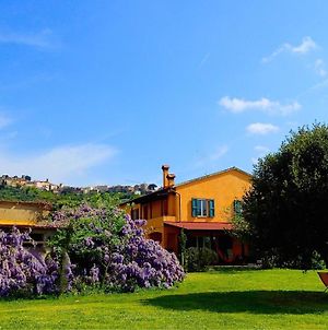 La Casa Toscana With Ac - Large Garden - 7Km By The Sea - Castagneto Carducci Exterior photo