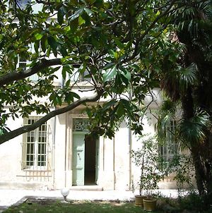 Chateau Cornillon Bed and Breakfast Arles Exterior photo