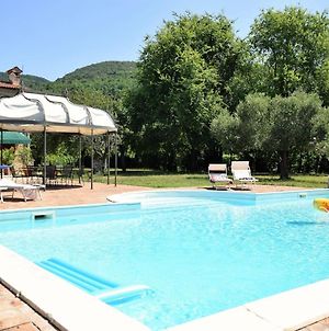 Beautiful Holiday Home In Vo With Swimming Pool Vo (Vicenza) Exterior photo