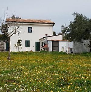 Casa Matilda - Abbasanta - Sardegna Appartamento Exterior photo