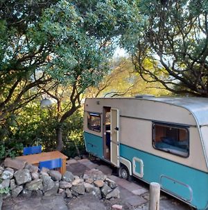 Camping En Molino Dorado Hotel Facinas Exterior photo