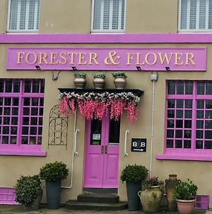 The Forester And Flower Hotel Bath Exterior photo