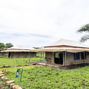Serengeti Wild Camp Hotel Exterior photo
