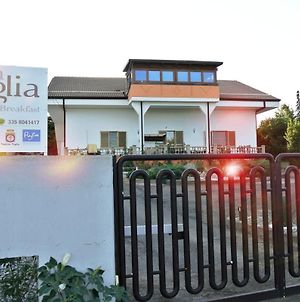 Mamma Puglia Suite&Breakfast Santeramo in Colle Exterior photo