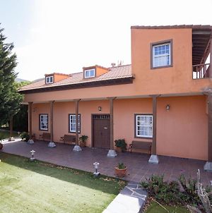 Live Tegueste Vinedo With Beautiful Garden Villa Exterior photo