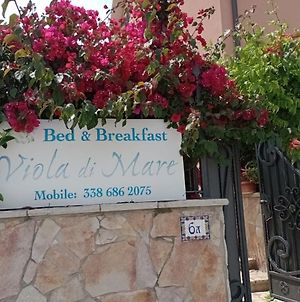 Viola di Mare Bed and Breakfast Termoli Exterior photo