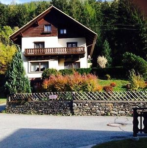 Ferienhaus In Vorwald Mit Sauna, Grill Und Garten Patergassen Exterior photo