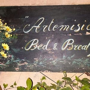 Artemisia B&B Albenga Exterior photo
