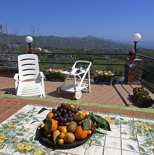 Holiday House In A Former Wine Mill Villa Piedimonte Etneo Room photo