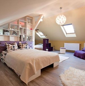 Cluj Napoca Apartments Room photo