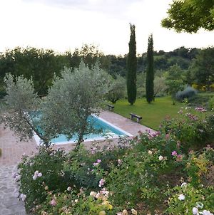 Umbrian Holiday On The Enchanting Hills Of Todi! Massa Martana Exterior photo