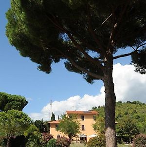 Villa Boldrini b&b Venturina Terme Exterior photo