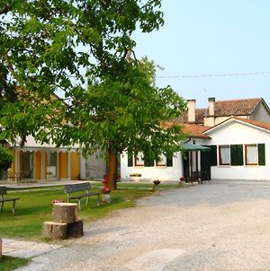 Villa Olanda Mira Exterior photo