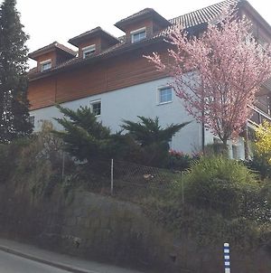 Mayerhofer House Linz Exterior photo